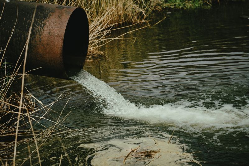 Avoid Possible Environmental Hazards
